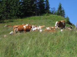 коровы на склонах гор Юра